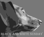 Black & White Sunday